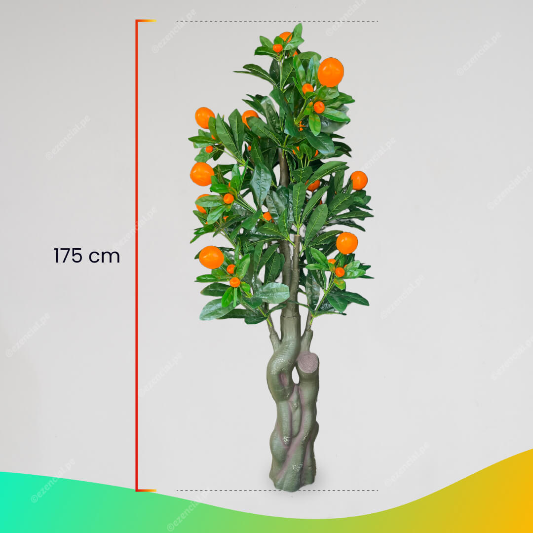Árbol de Mandarina 175cm